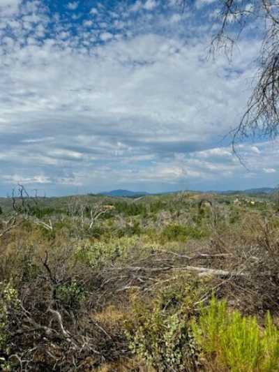 Residential Land For Sale in Mountain Ranch, California