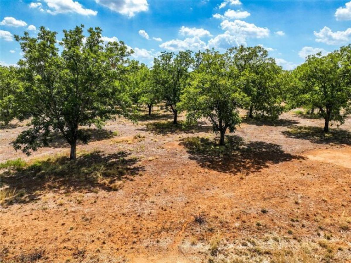 Picture of Residential Land For Sale in Pleasanton, Texas, United States