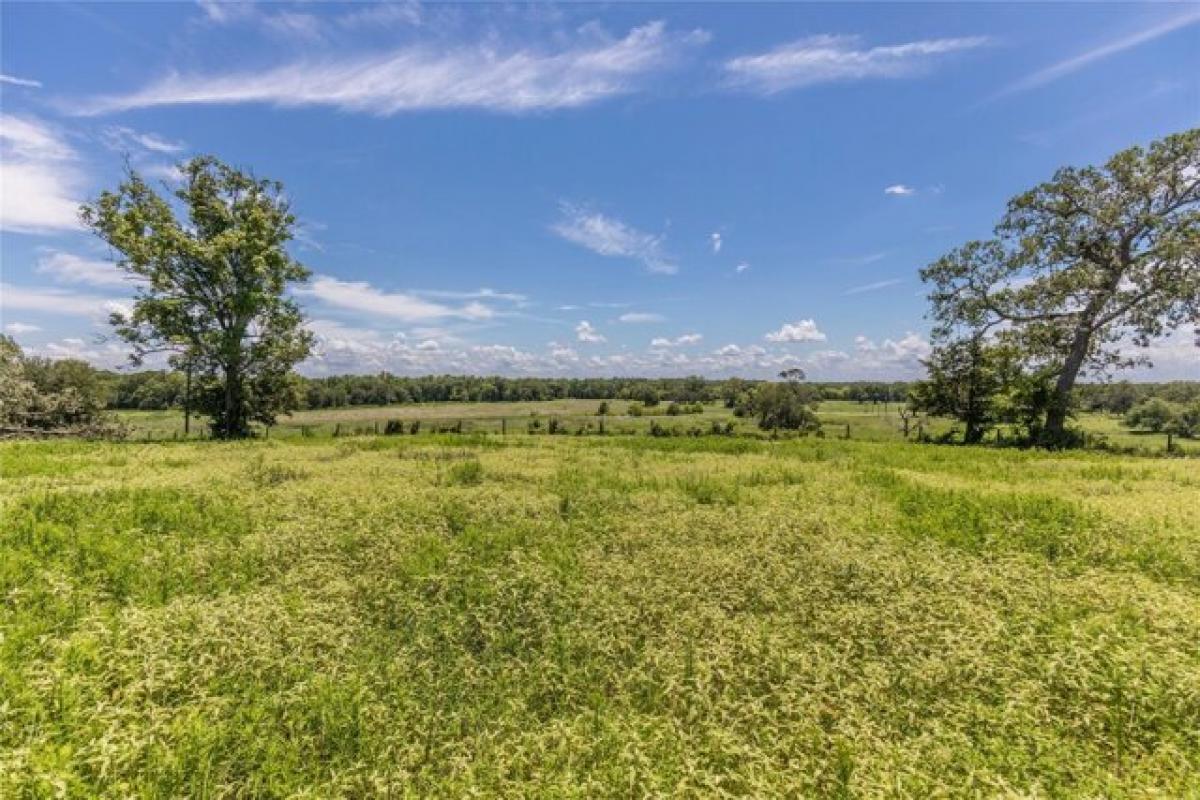 Picture of Residential Land For Sale in New Ulm, Texas, United States