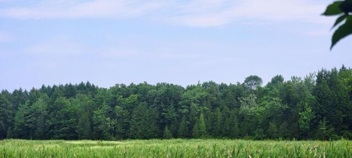 Picture of Residential Land For Sale in Dover Foxcroft, Maine, United States