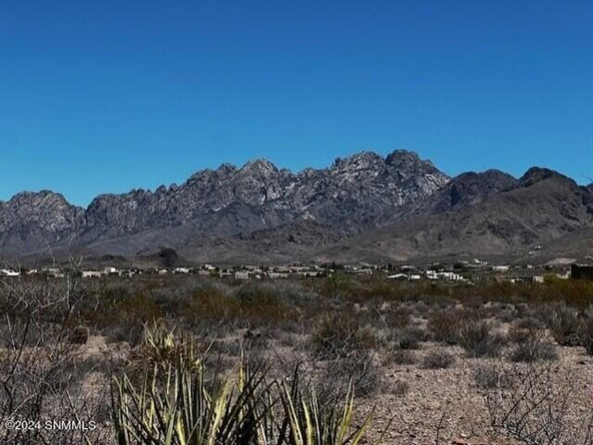 Picture of Residential Land For Sale in Las Cruces, New Mexico, United States