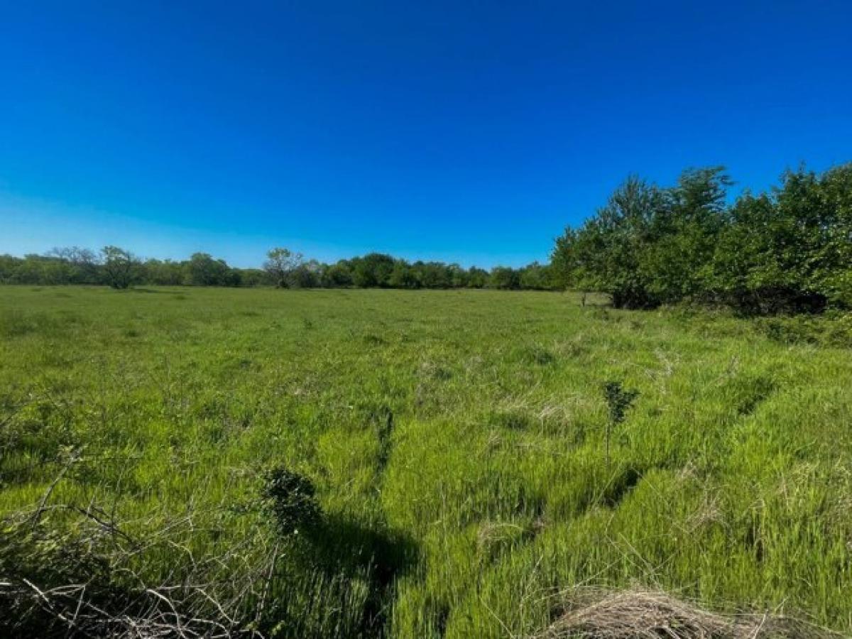 Picture of Residential Land For Sale in Coalgate, Oklahoma, United States