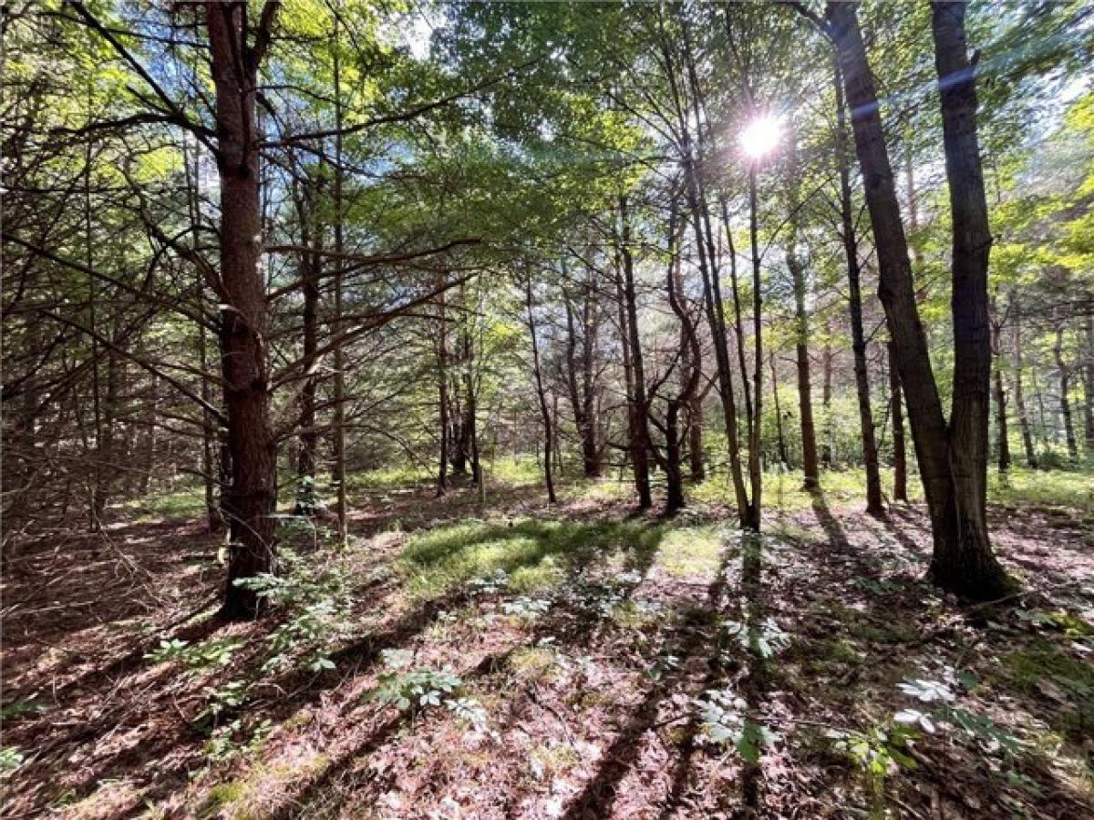 Picture of Residential Land For Sale in Erin, New York, United States