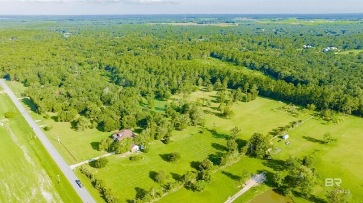 Picture of Residential Land For Sale in Foley, Alabama, United States