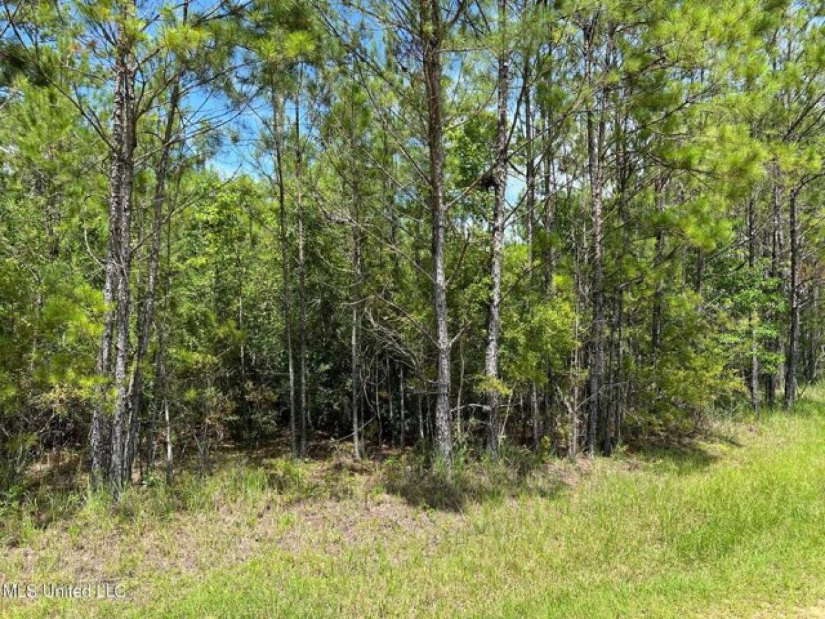 Picture of Residential Land For Sale in Vancleave, Mississippi, United States