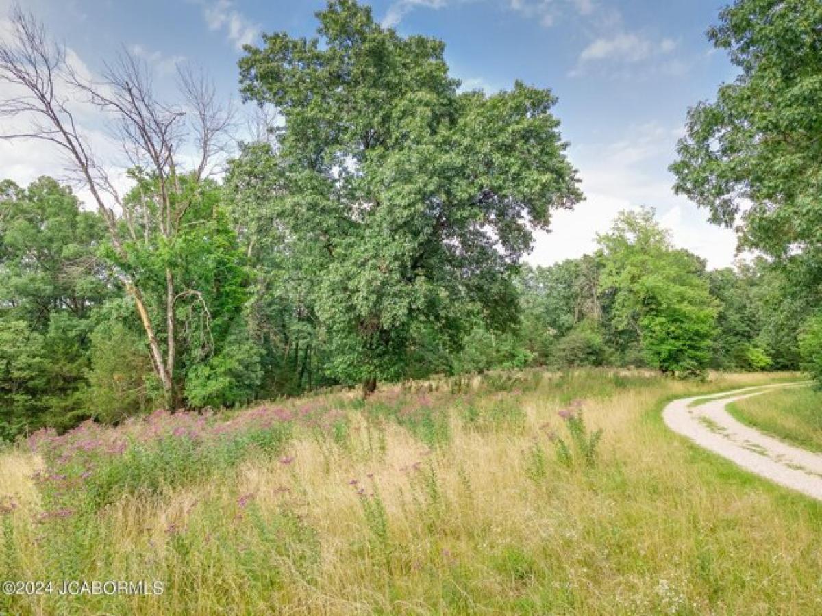 Picture of Residential Land For Sale in Chamois, Missouri, United States