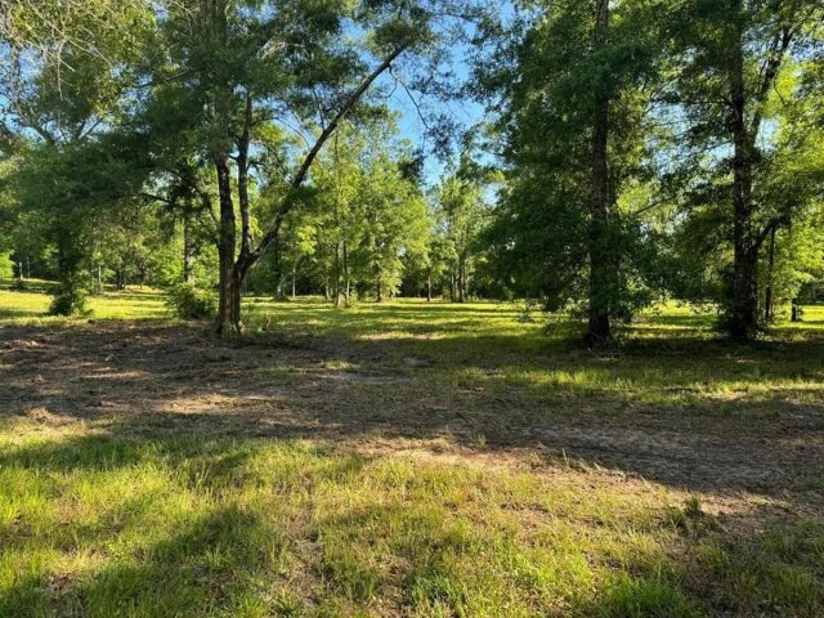 Picture of Residential Land For Sale in Carriere, Mississippi, United States