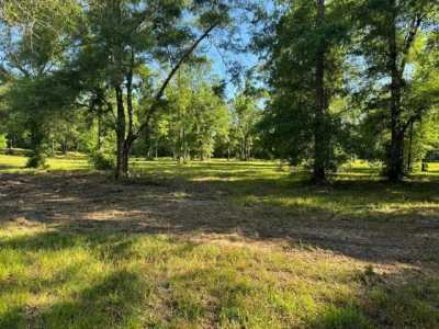 Residential Land For Sale in Carriere, Mississippi