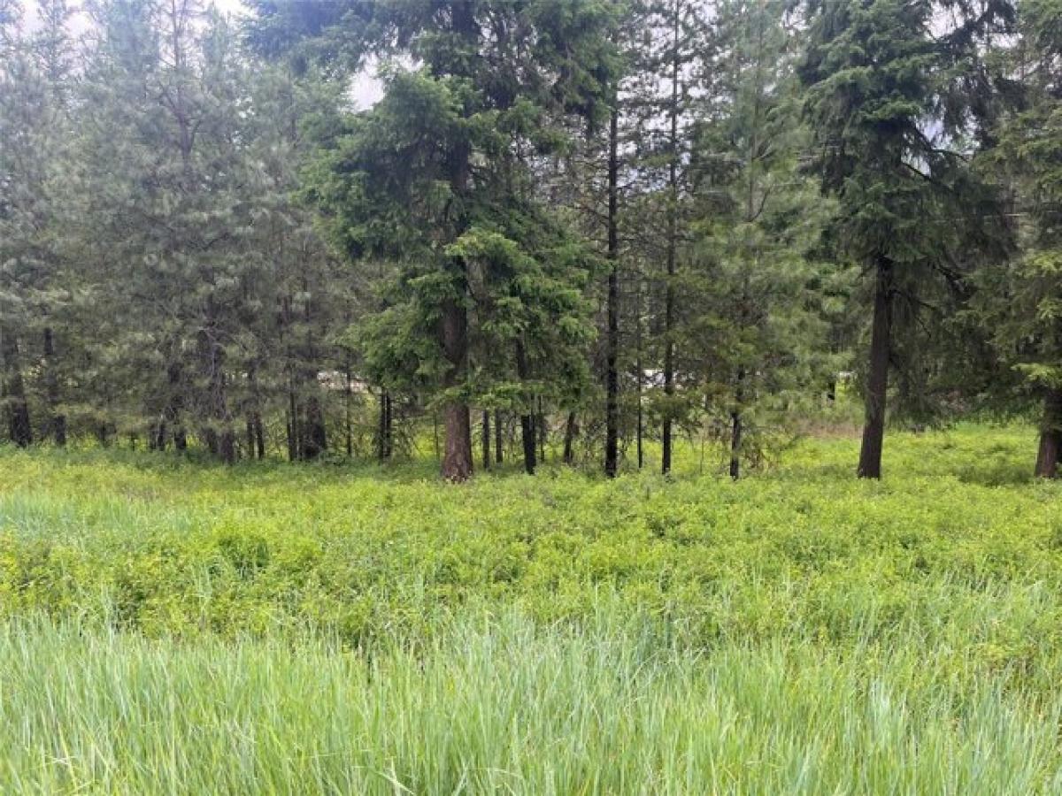 Picture of Residential Land For Sale in Thompson Falls, Montana, United States