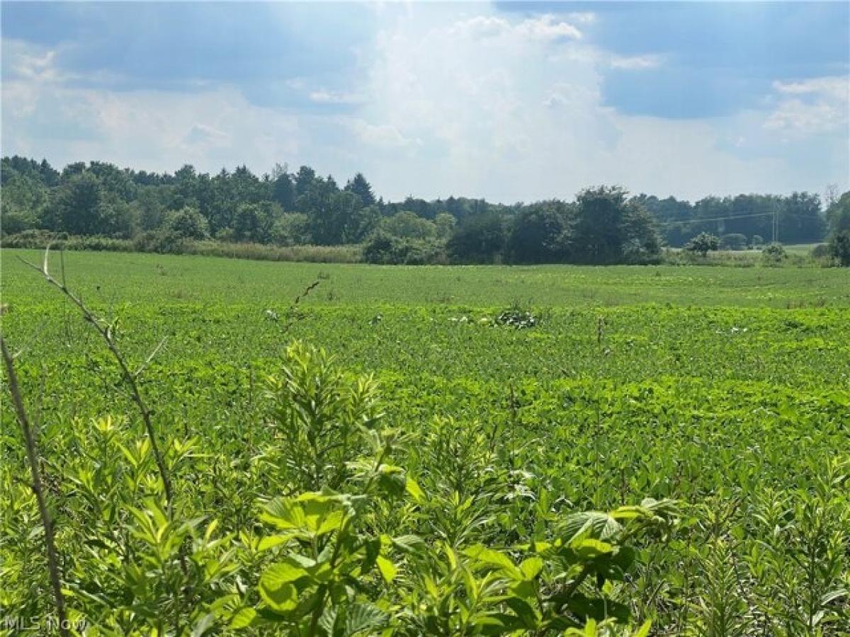 Picture of Residential Land For Sale in Ravenna, Ohio, United States