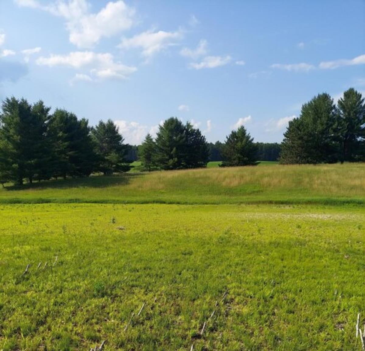 Picture of Residential Land For Sale in Harrisville, Michigan, United States