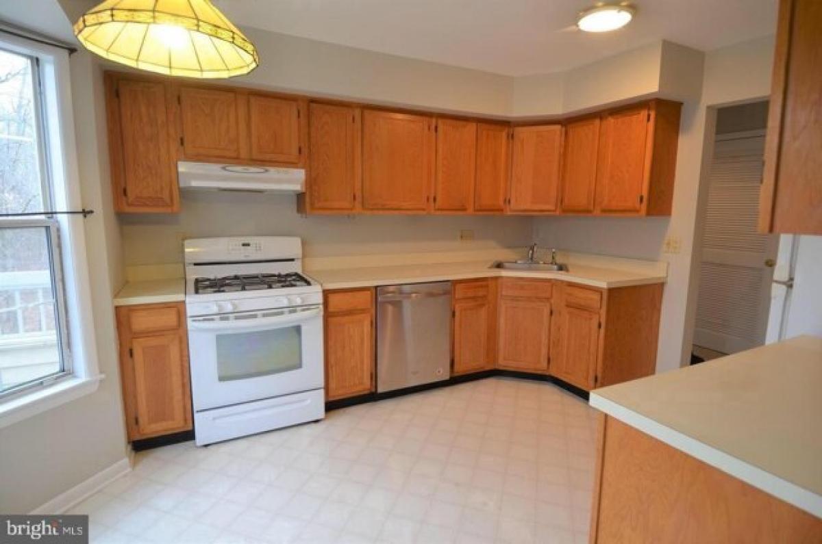 Picture of Apartment For Rent in Princeton, New Jersey, United States