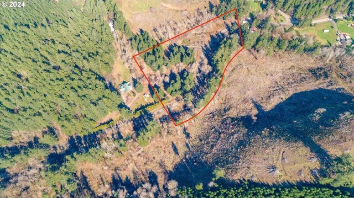 Picture of Residential Land For Sale in Willamina, Oregon, United States