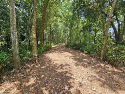 Residential Land For Sale in Avon Park, Florida