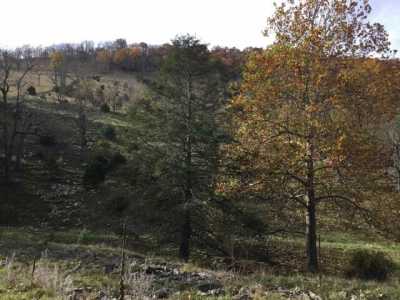 Residential Land For Sale in Franklin, West Virginia