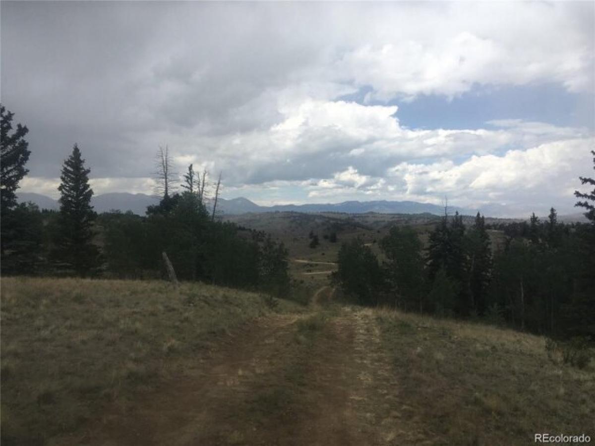 Picture of Residential Land For Sale in Jefferson, Colorado, United States