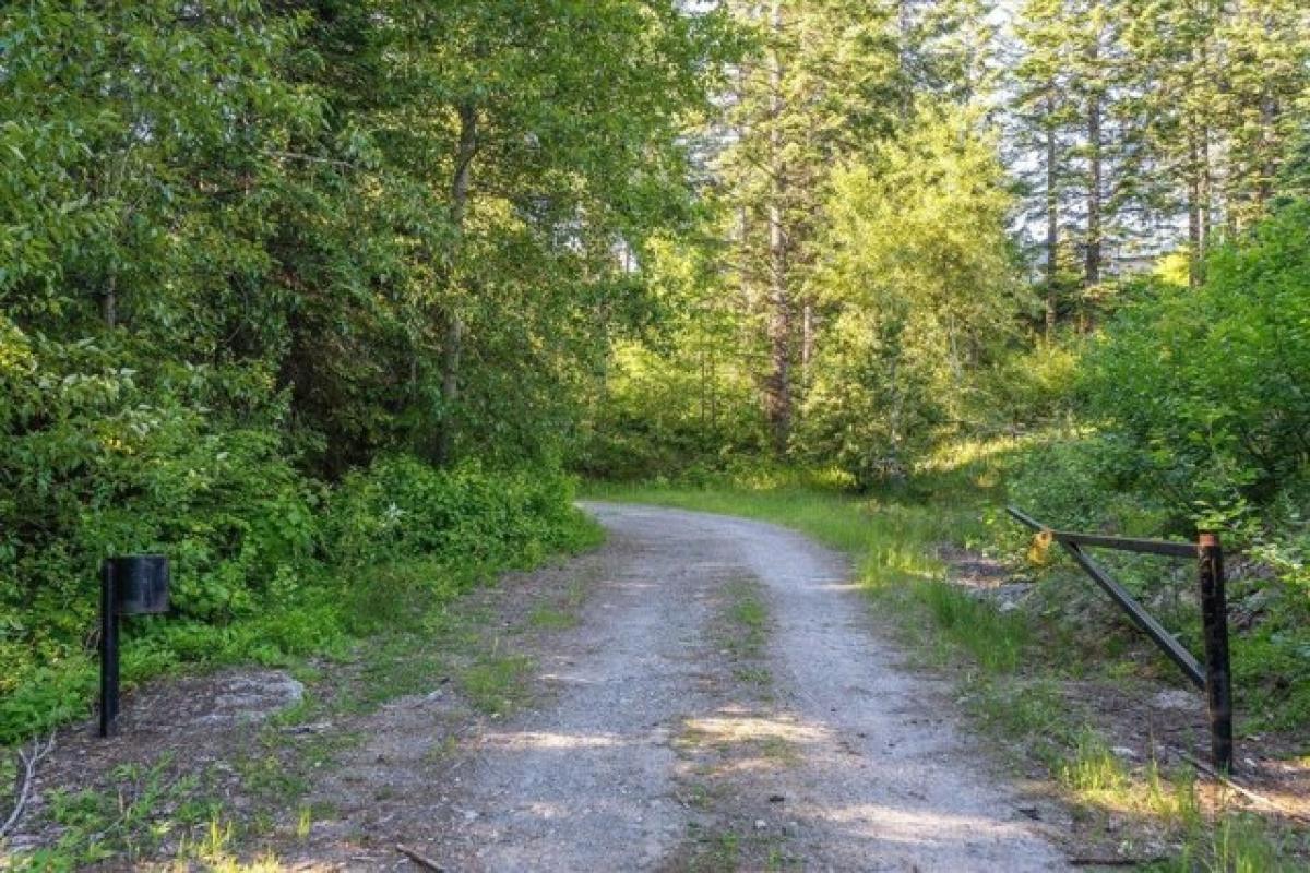 Picture of Residential Land For Sale in Mead, Washington, United States