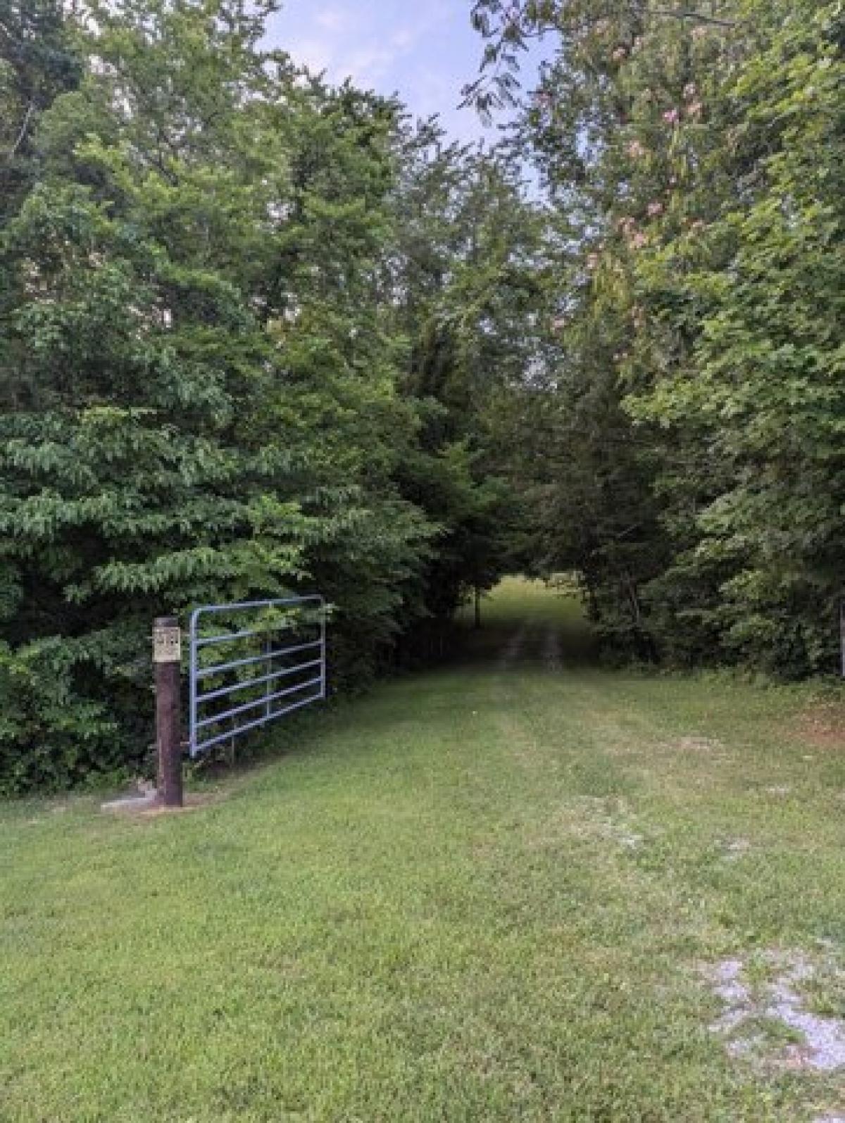 Picture of Residential Land For Sale in Adairville, Kentucky, United States