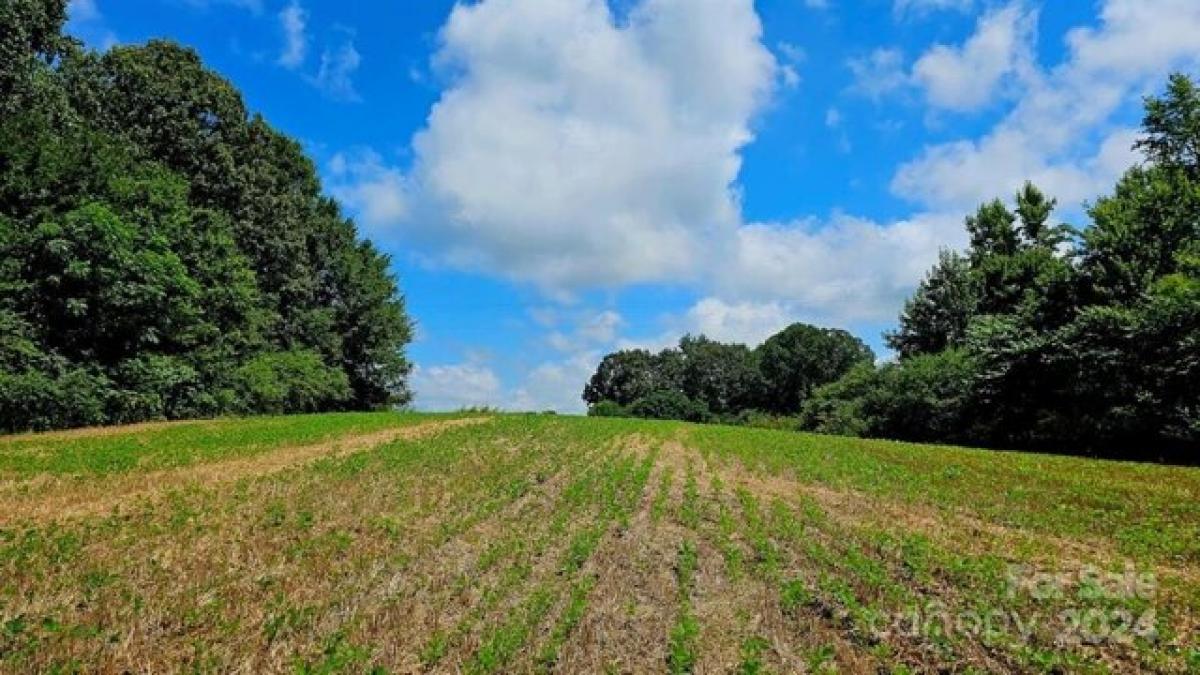 Picture of Residential Land For Sale in Peachland, North Carolina, United States