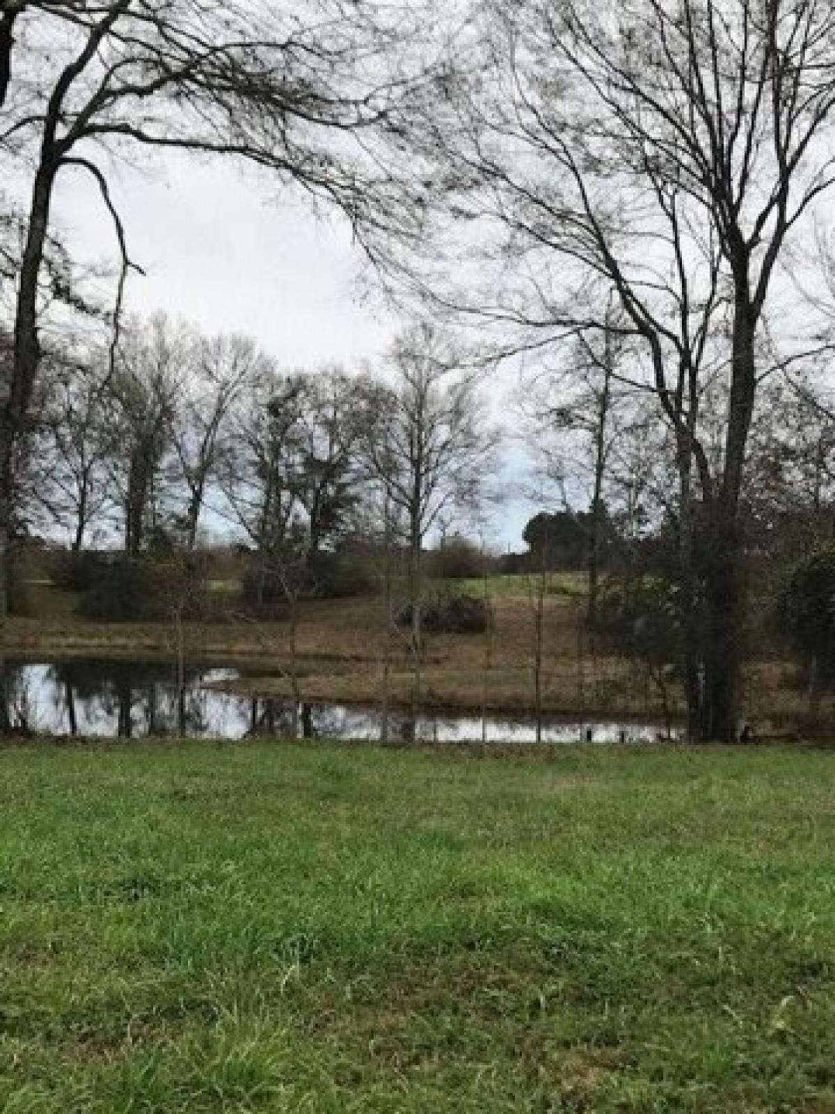 Picture of Residential Land For Sale in Poplarville, Mississippi, United States