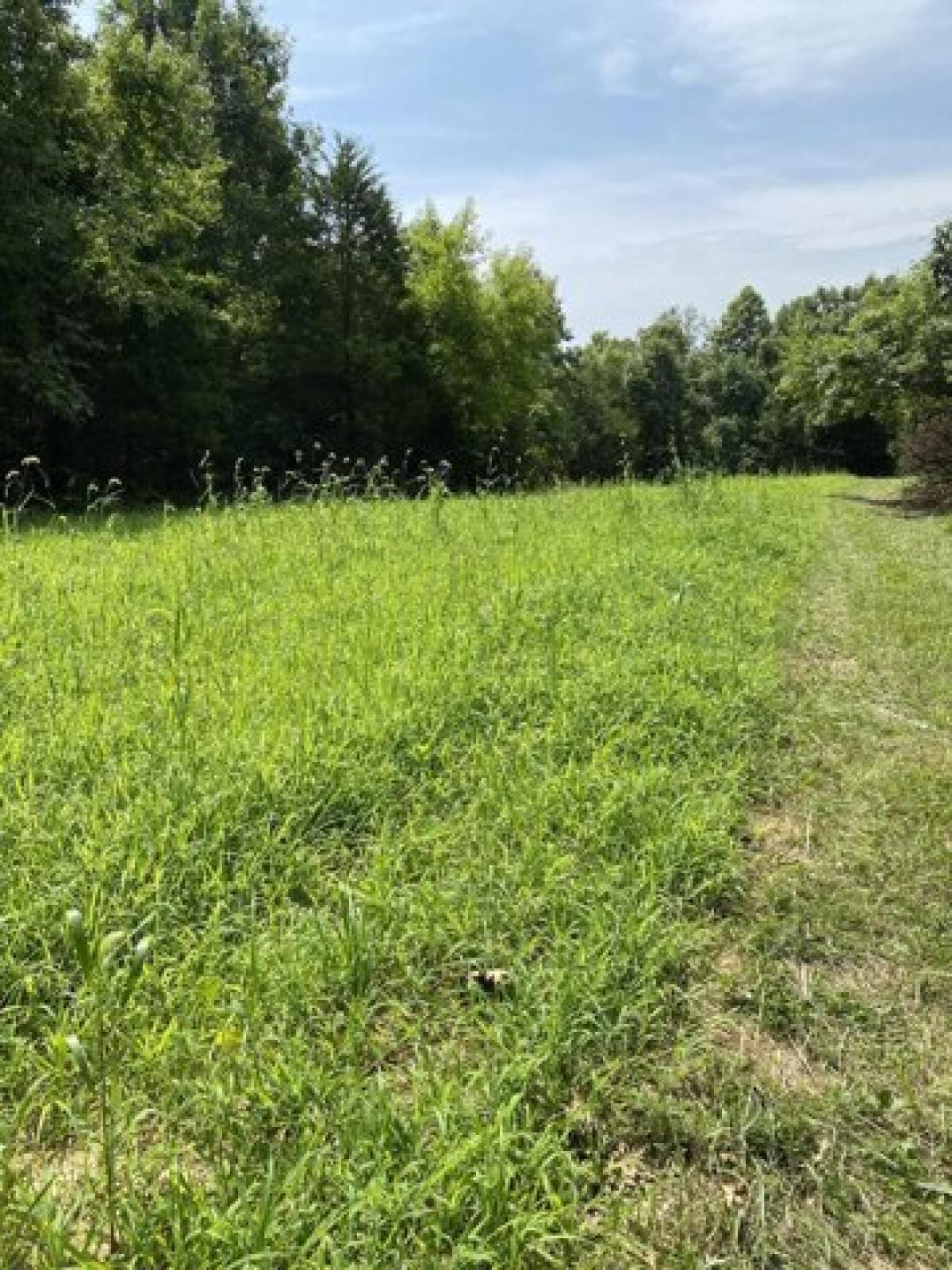 Picture of Residential Land For Sale in Cynthiana, Kentucky, United States