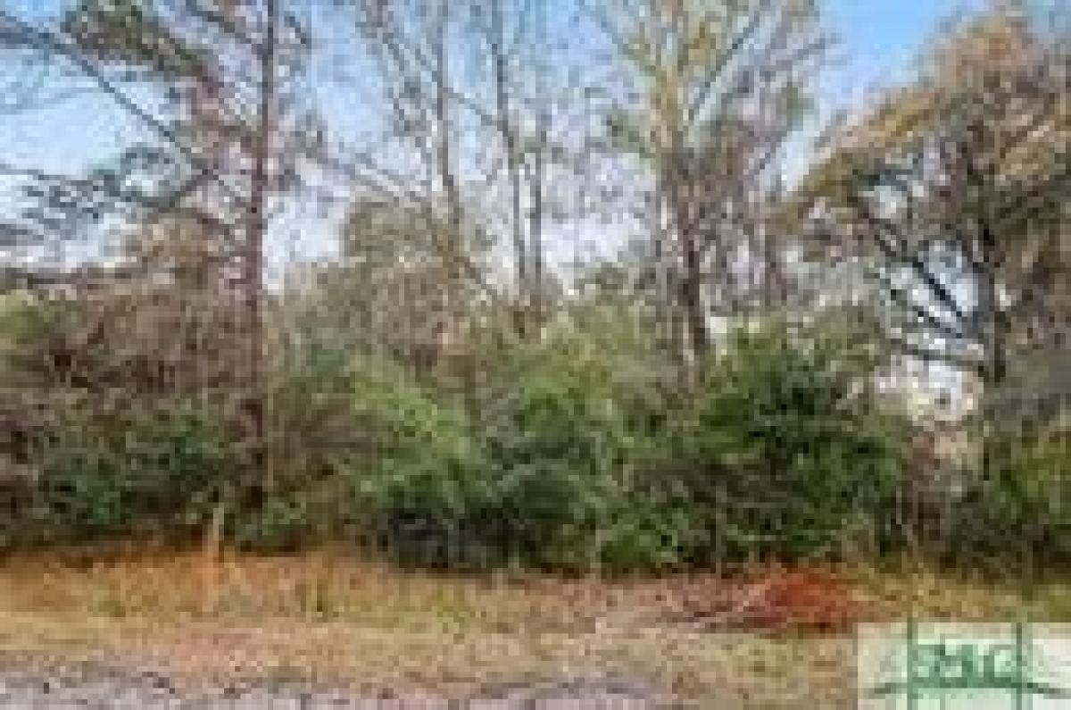 Picture of Residential Land For Sale in Midway, Georgia, United States