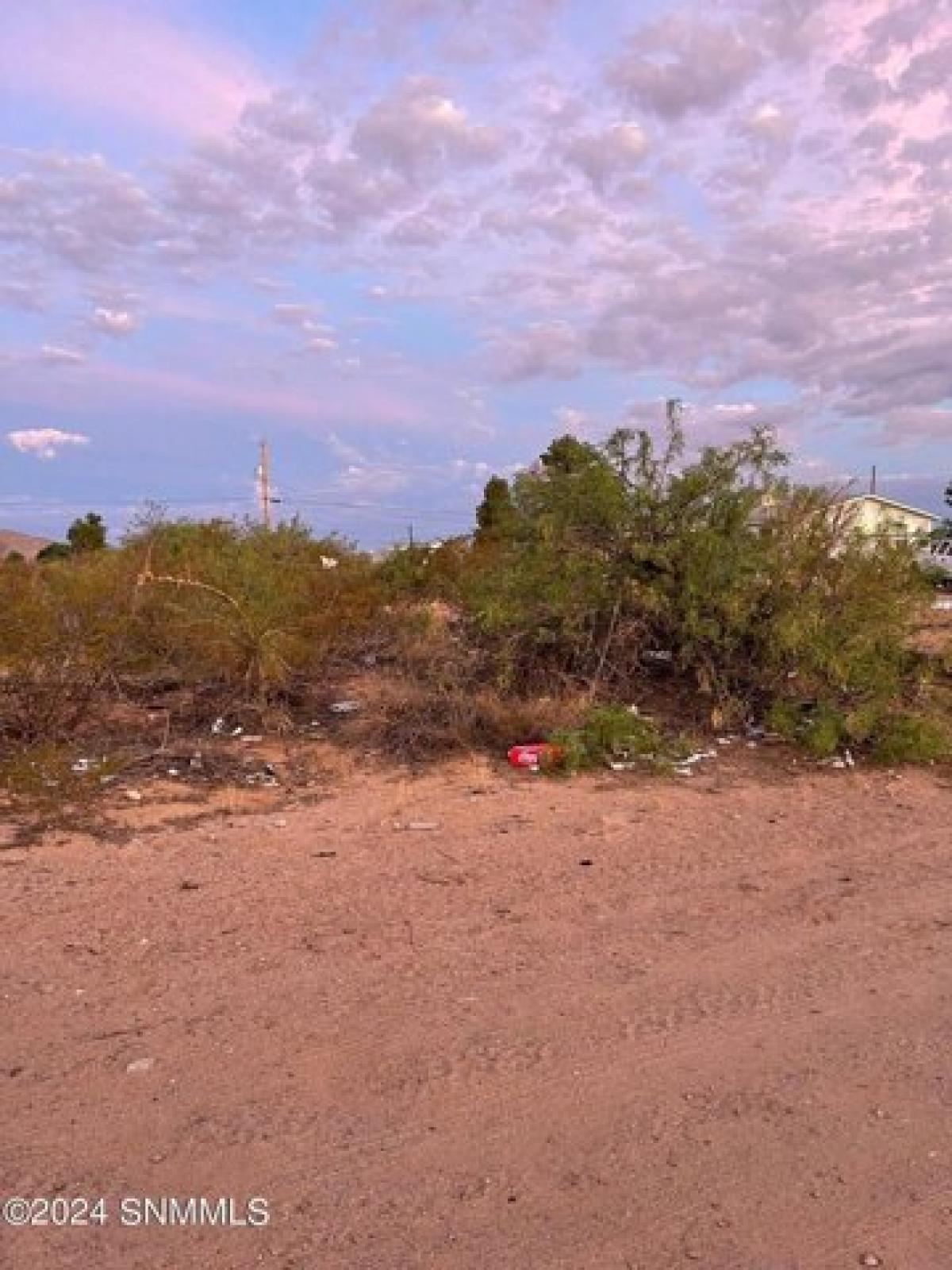 Picture of Residential Land For Sale in Chaparral, New Mexico, United States