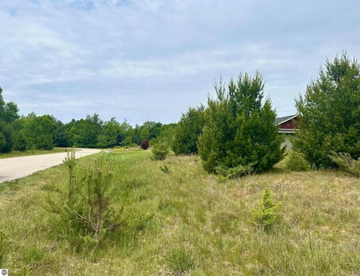 Picture of Residential Land For Sale in Frankfort, Michigan, United States