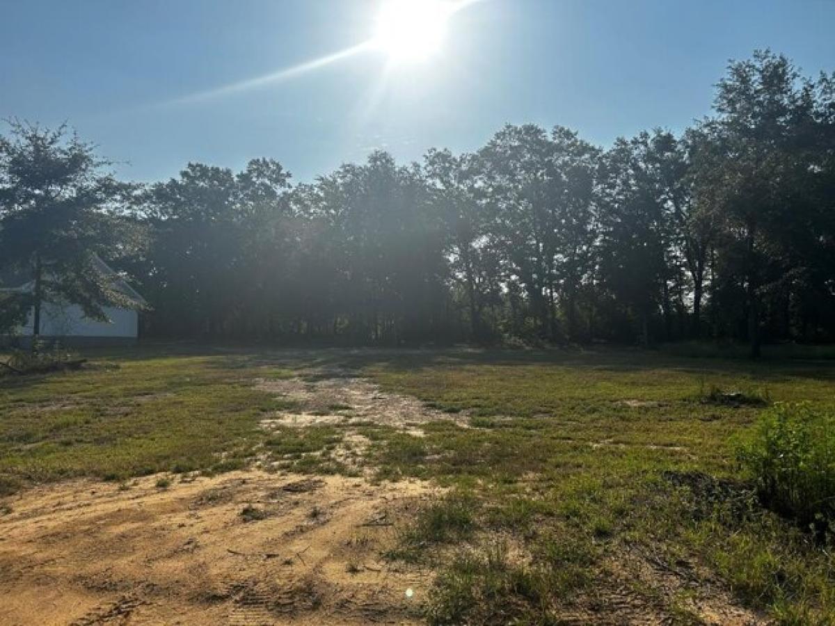 Picture of Residential Land For Sale in Ashford, Alabama, United States