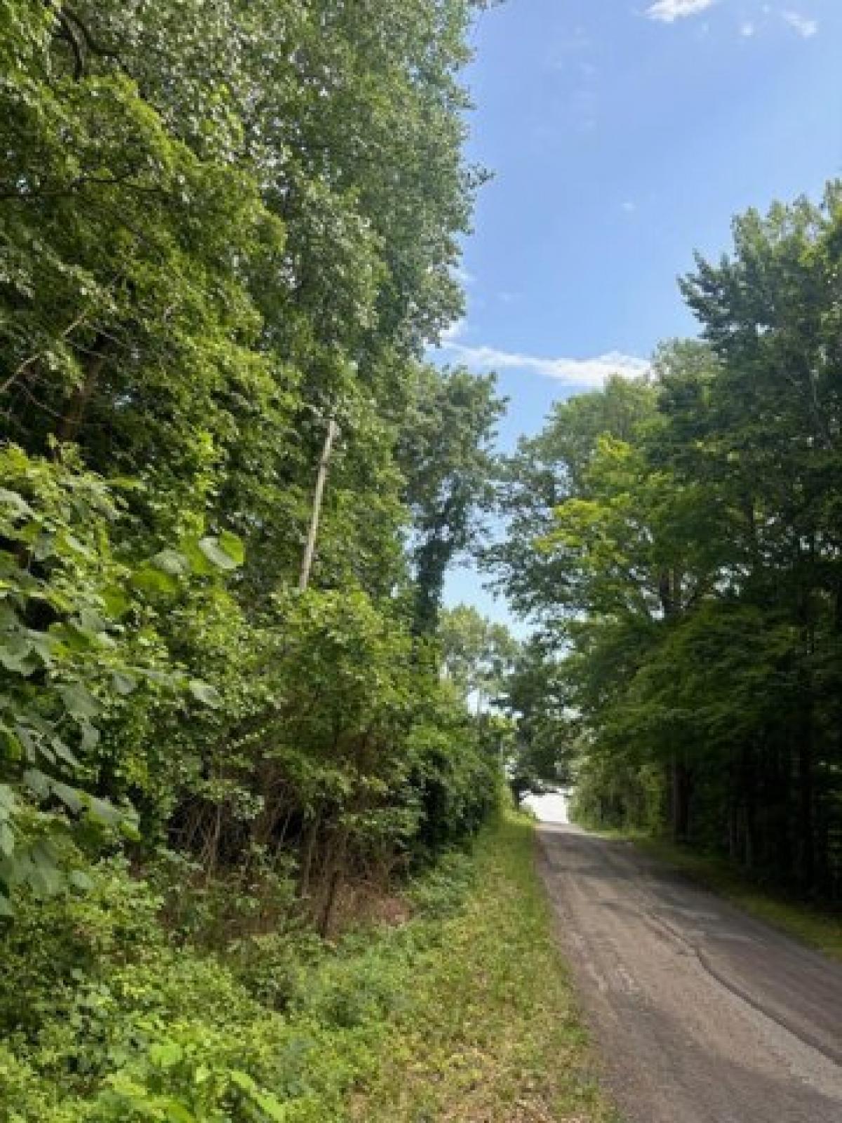 Picture of Residential Land For Sale in South Haven, Michigan, United States