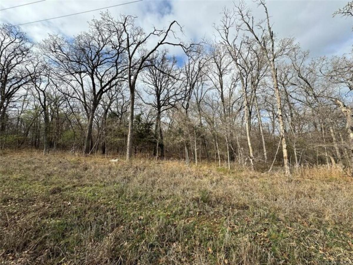 Picture of Residential Land For Sale in Kingston, Oklahoma, United States