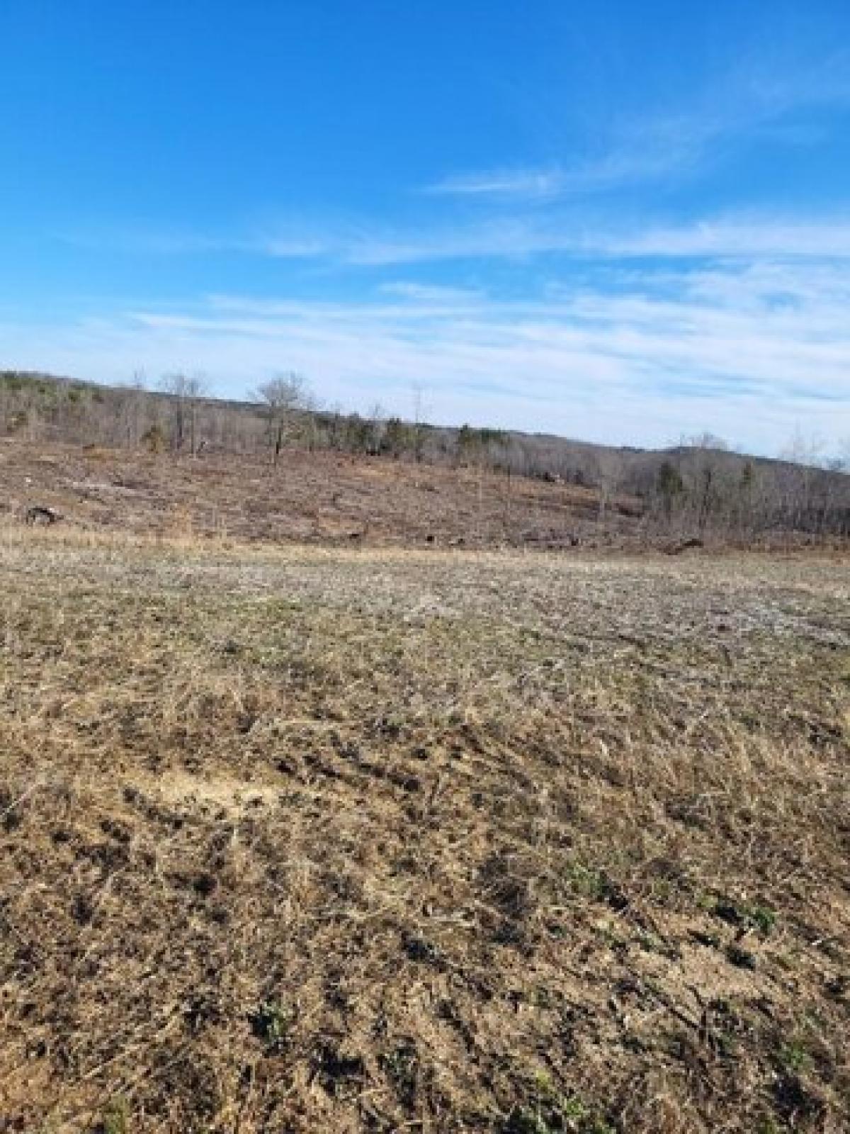 Picture of Residential Land For Sale in Scottsburg, Virginia, United States