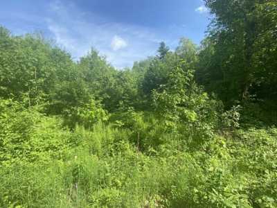 Residential Land For Sale in New Braintree, Massachusetts