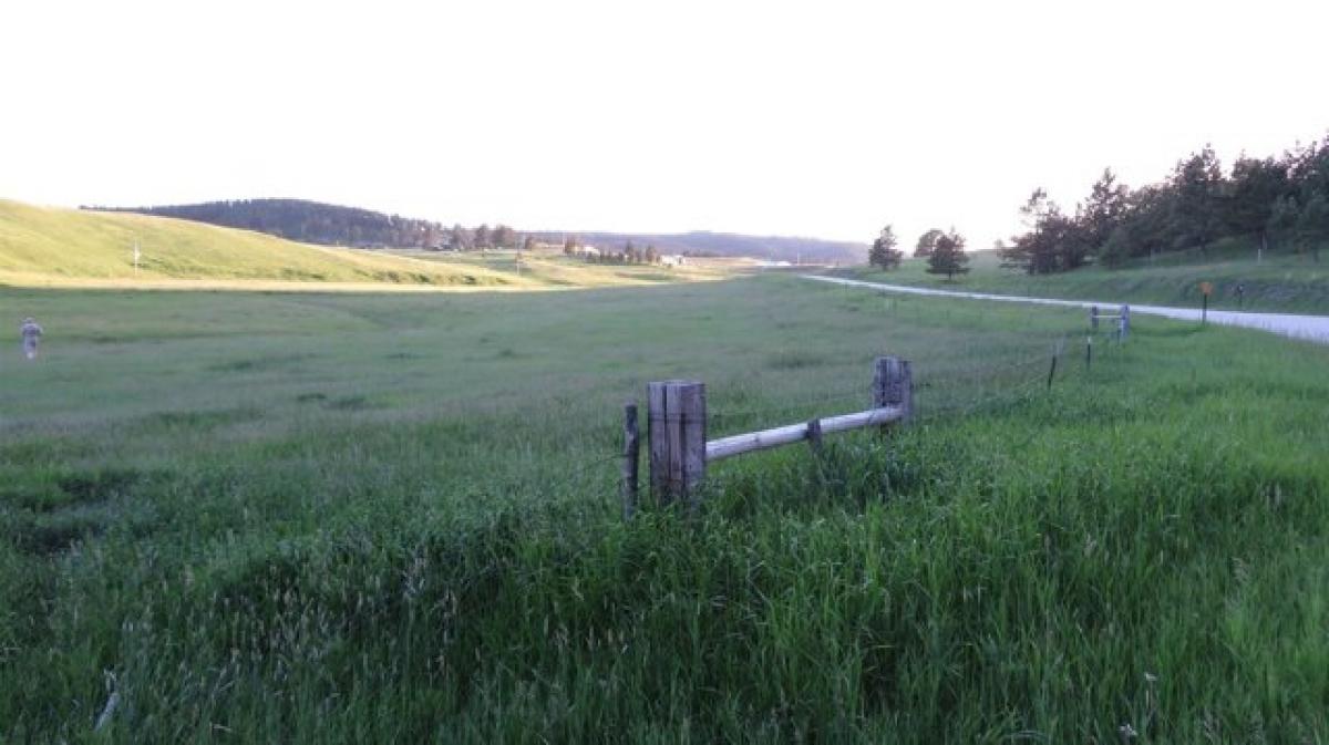 Picture of Residential Land For Sale in Hill City, South Dakota, United States