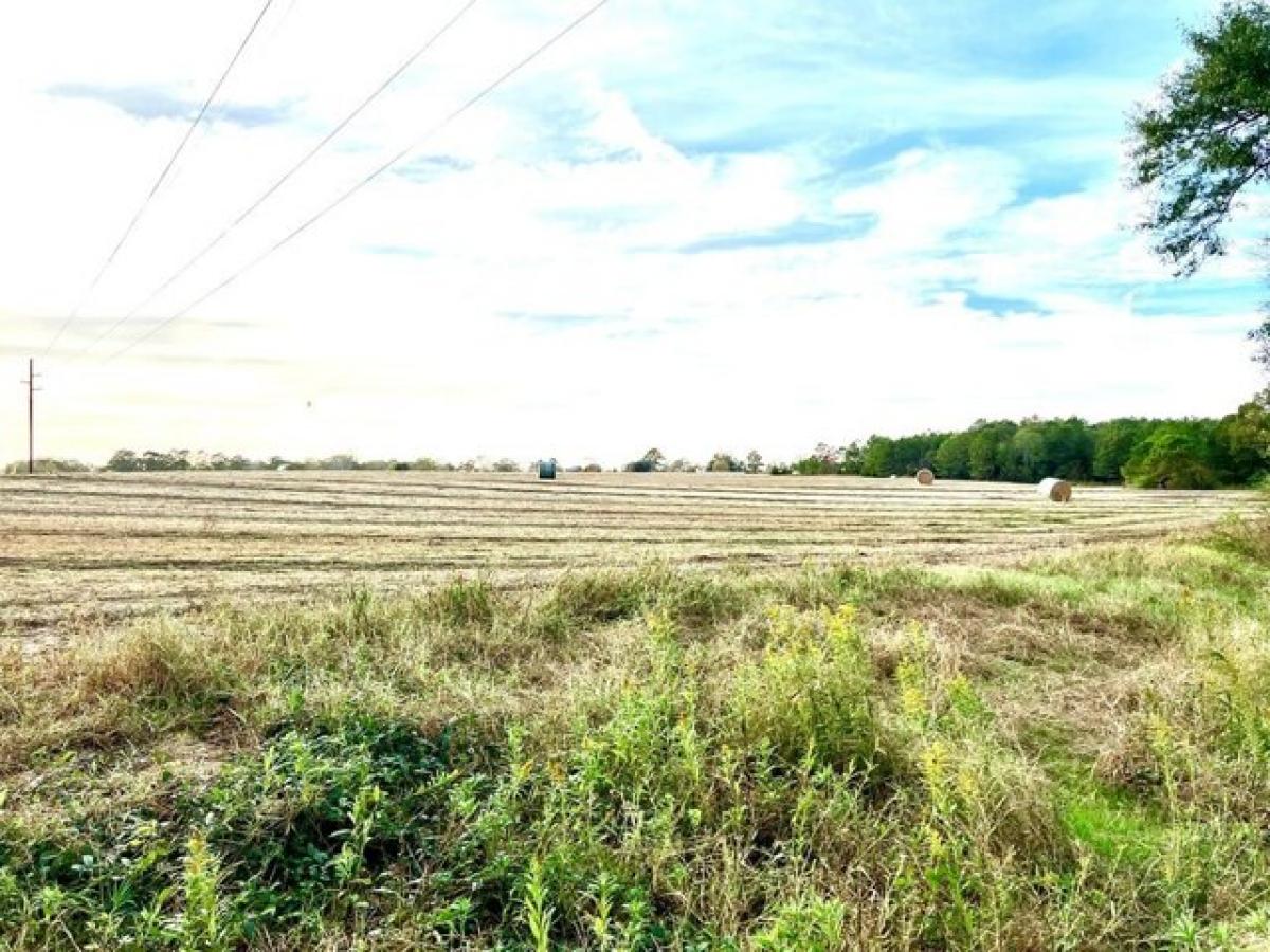 Picture of Residential Land For Sale in Headland, Alabama, United States