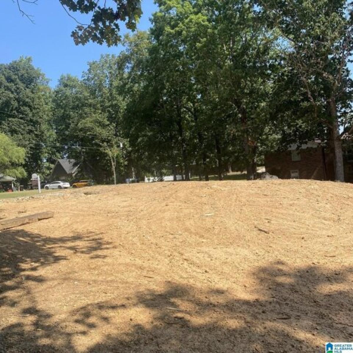 Picture of Residential Land For Sale in Cullman, Alabama, United States