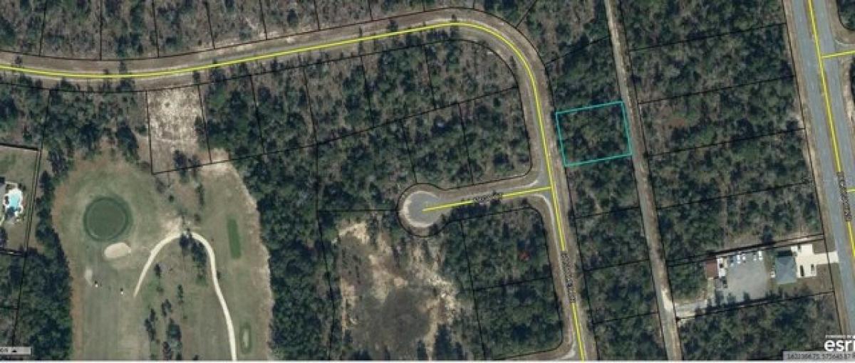 Picture of Residential Land For Rent in Chipley, Florida, United States