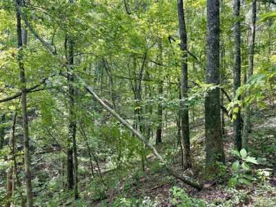 Residential Land For Sale in Clinton, Arkansas