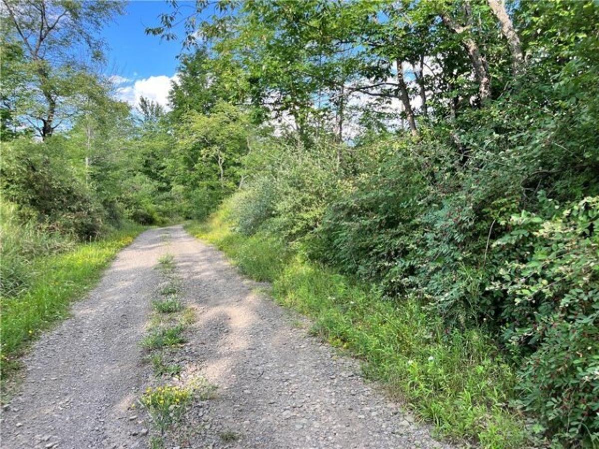 Picture of Residential Land For Sale in Erin, New York, United States