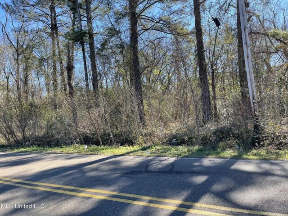 Picture of Residential Land For Sale in Jackson, Mississippi, United States