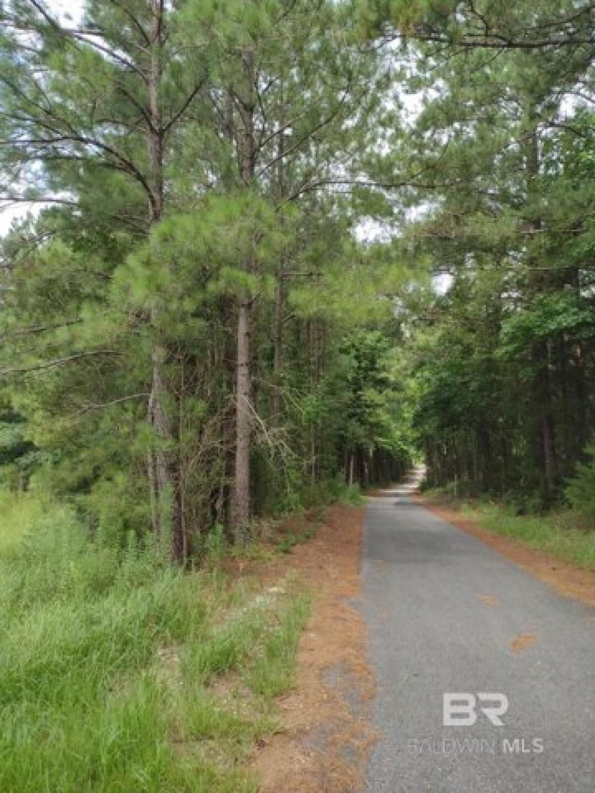 Picture of Residential Land For Sale in Perdido, Alabama, United States