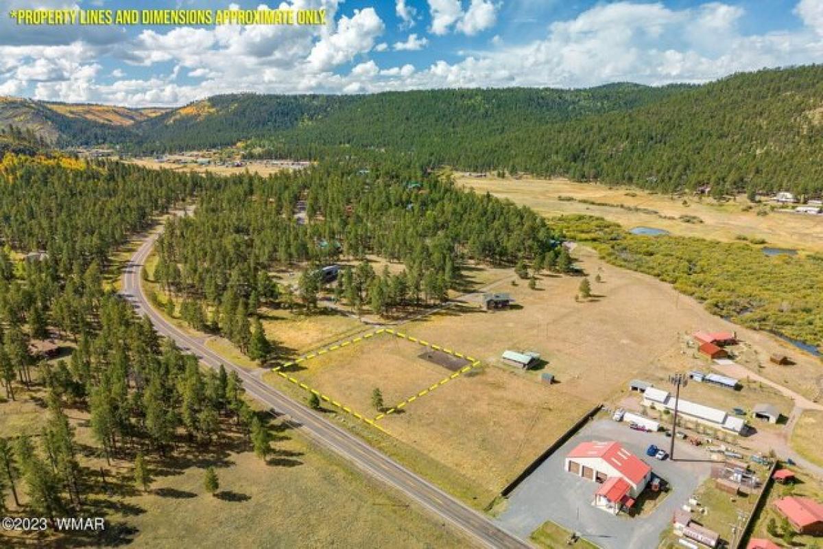 Picture of Residential Land For Sale in Greer, Arizona, United States