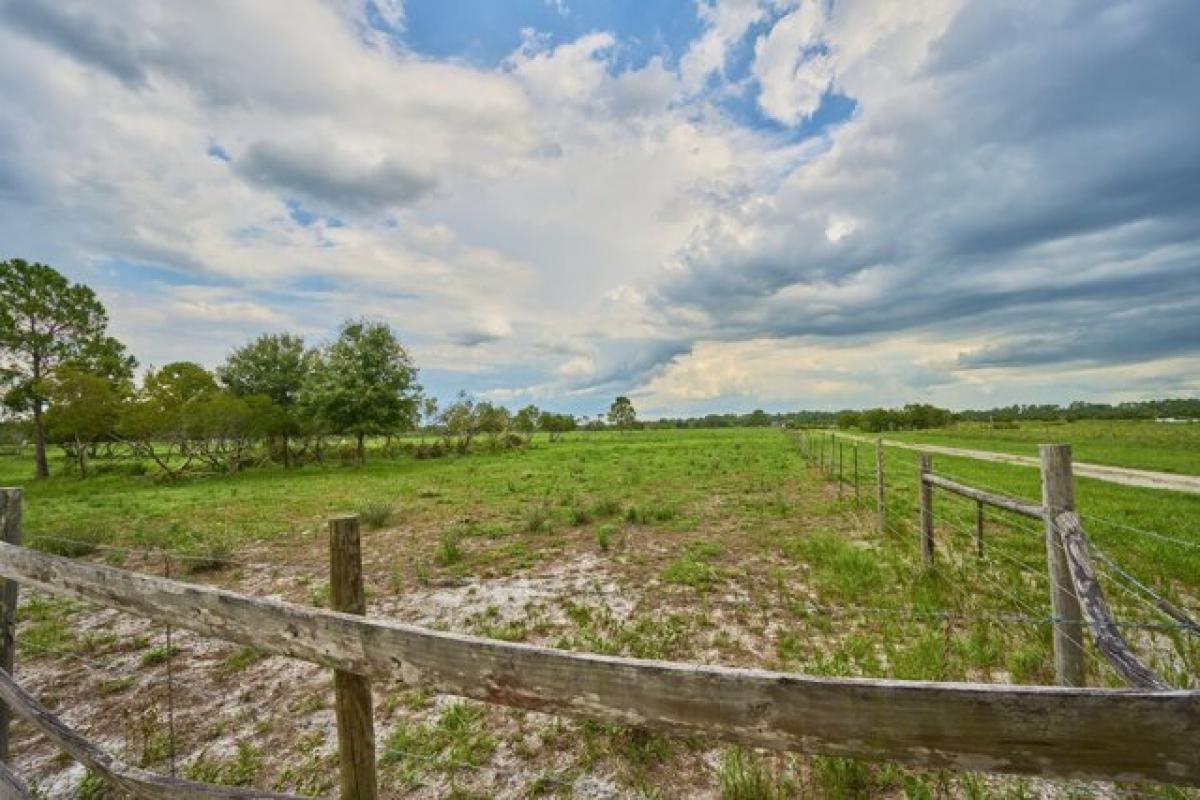 Picture of Residential Land For Sale in Fort Meade, Florida, United States