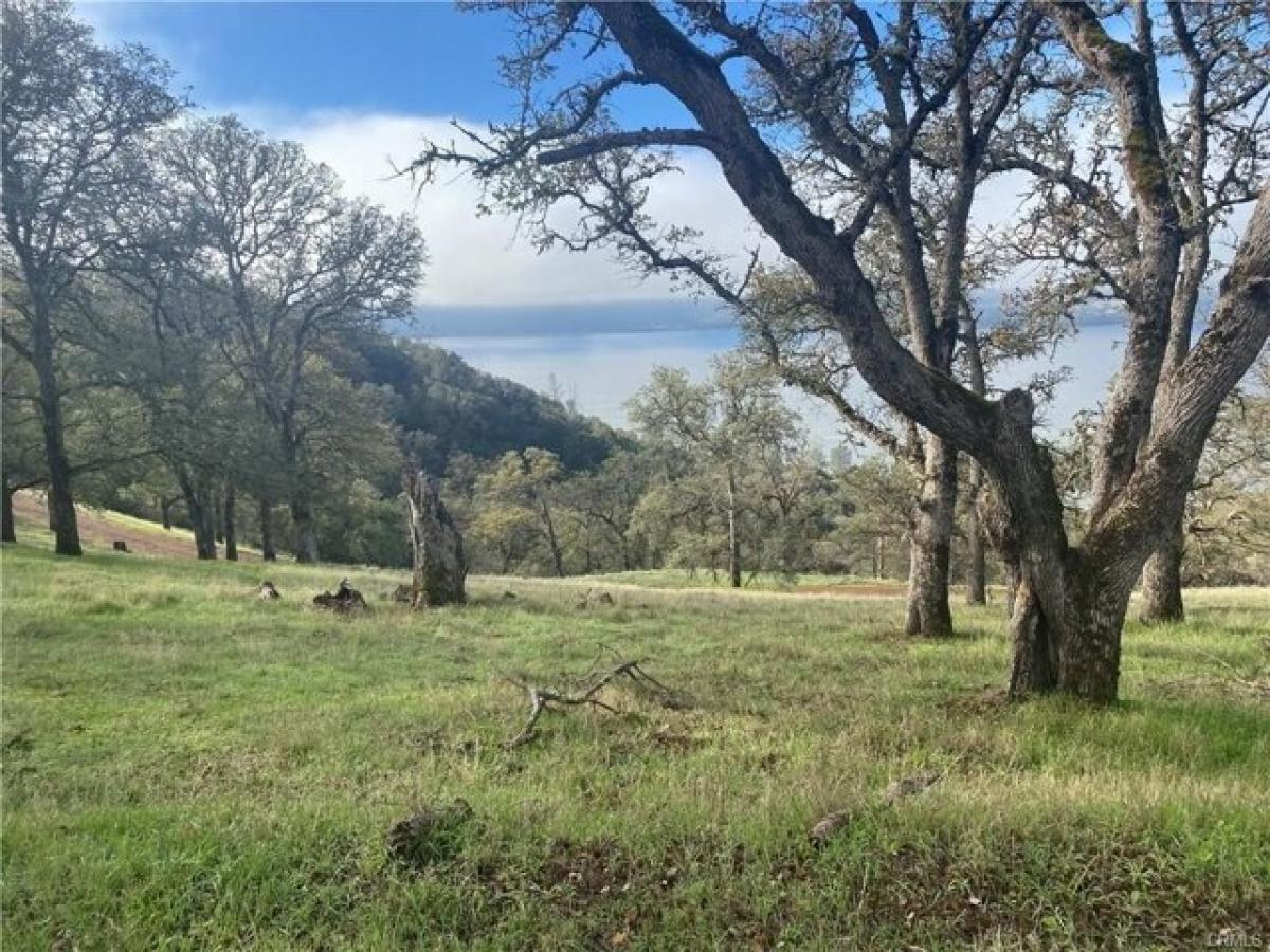 Picture of Residential Land For Sale in Clearlake, California, United States