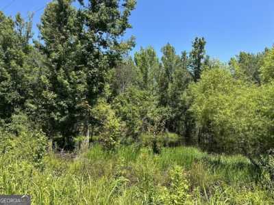 Residential Land For Sale in Slocomb, Alabama