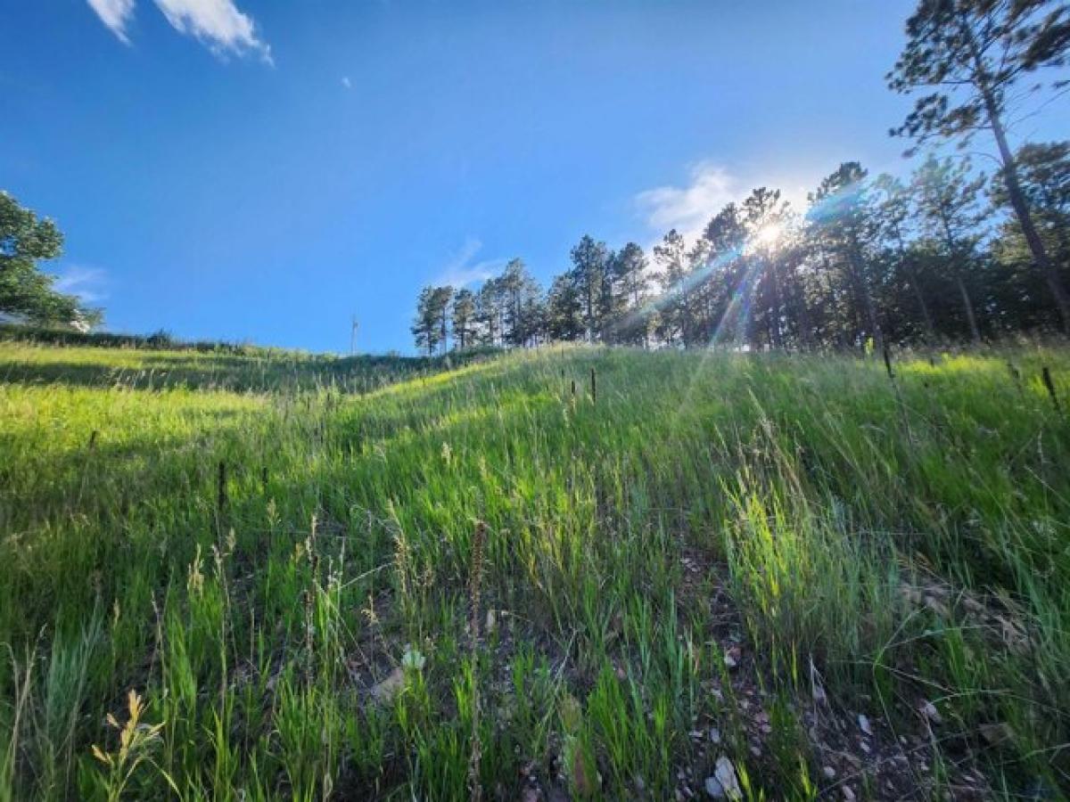 Picture of Residential Land For Sale in Keystone, South Dakota, United States