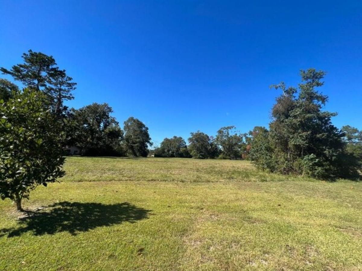 Picture of Residential Land For Sale in Deridder, Louisiana, United States