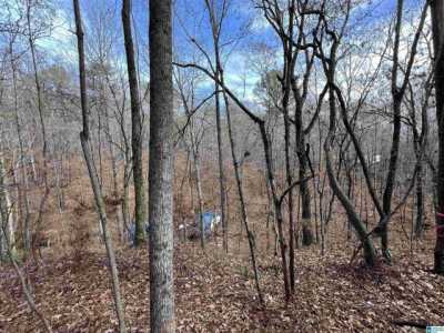 Residential Land For Rent in Mccalla, Alabama