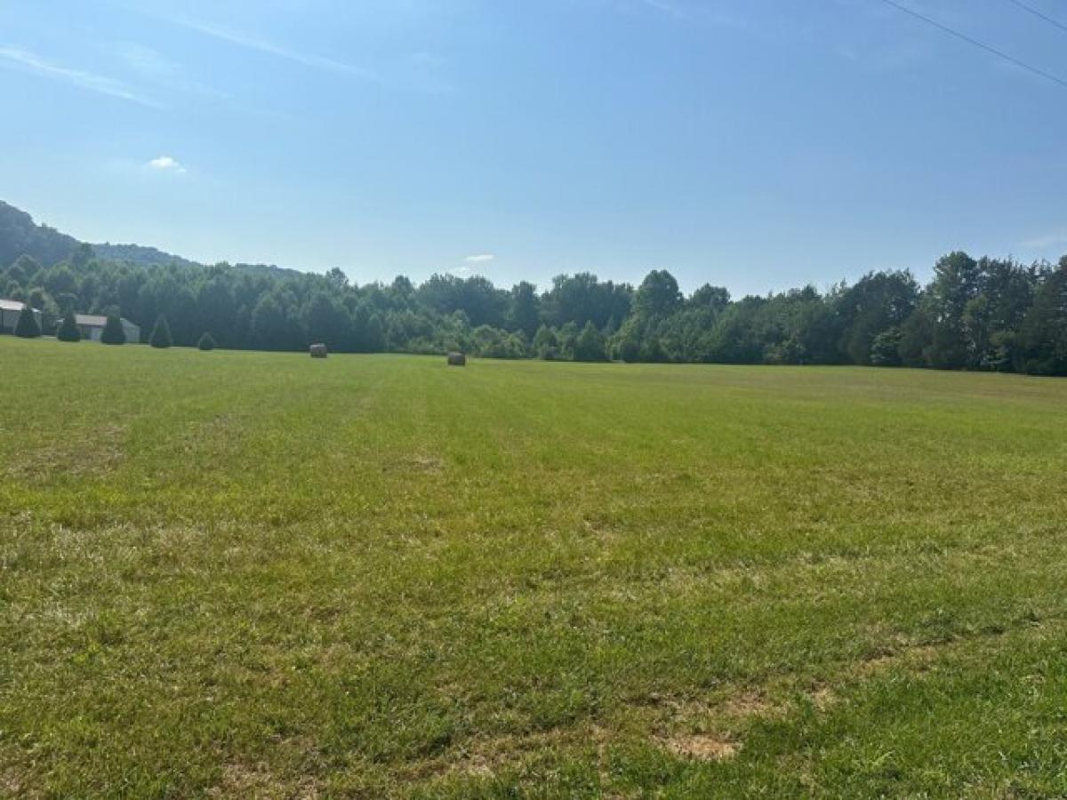 Picture of Residential Land For Sale in Burkesville, Kentucky, United States