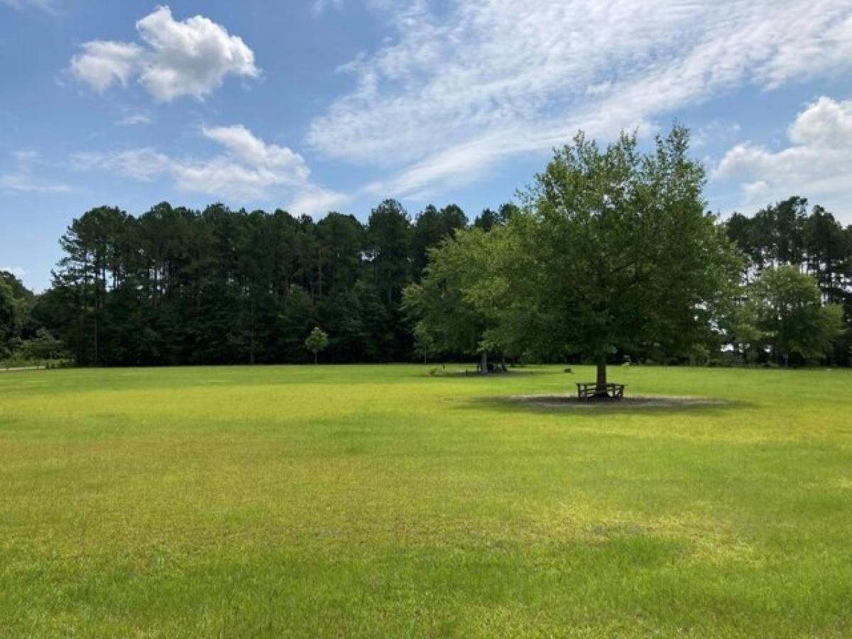 Picture of Residential Land For Sale in Nicholls, Georgia, United States